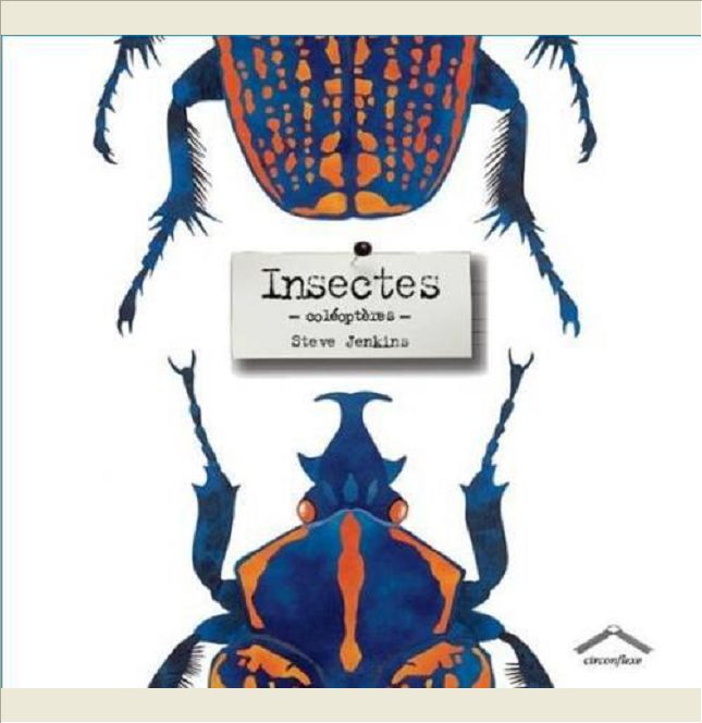 INSECTES