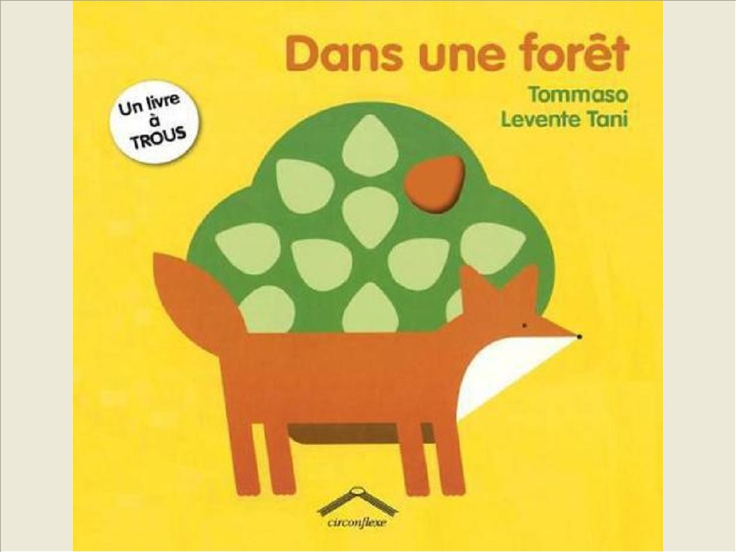 DANS UNE FORET