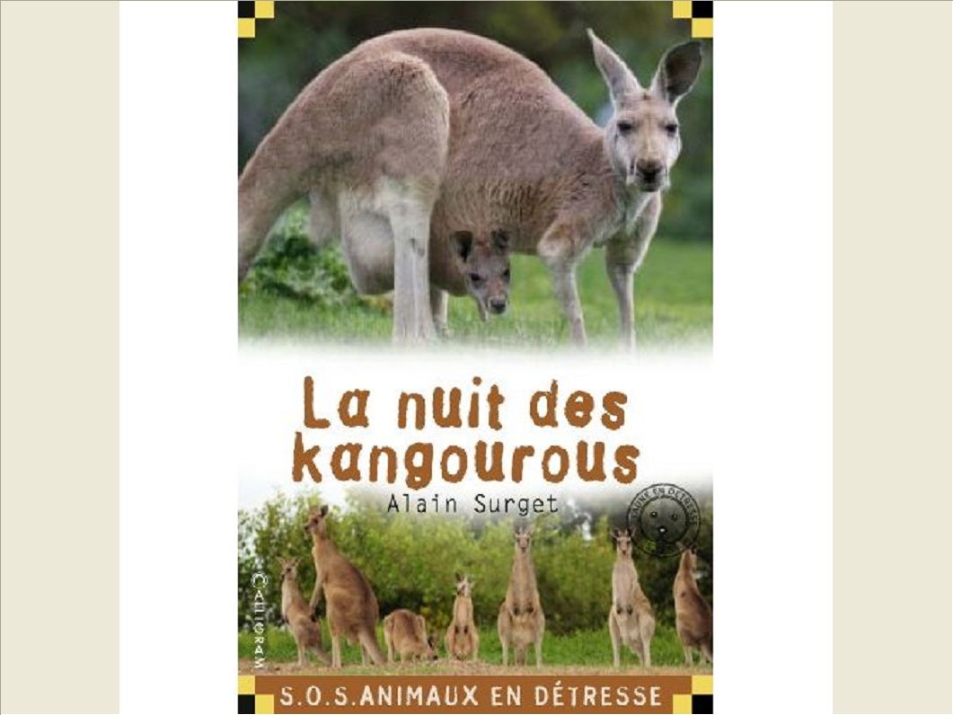 LA NUIT DES KANGOUROUS