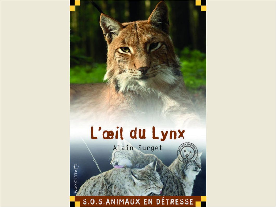 L'OEIL DU LYNX