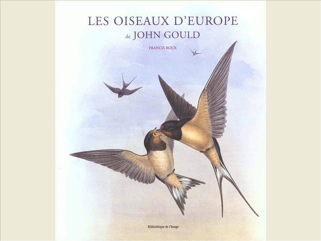 OISEAUX D'EUROPE DE JOHN GOULD
