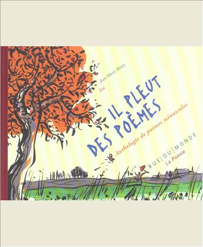 IL PLEUT DES POEMES - ANTHOLOGIE DE POEMES MINUSCULES