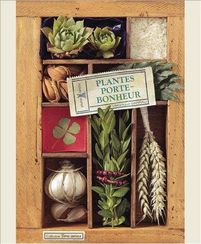 PLANTES PORTE - BONHEUR