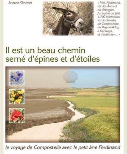 IL EST UN BEAU CHEMIN SEME D'EPINES ET D'ETOILES