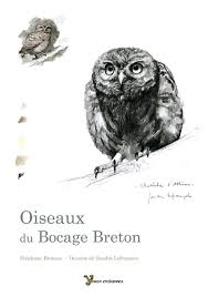 OISEAUX DU BOCAGE BRETON