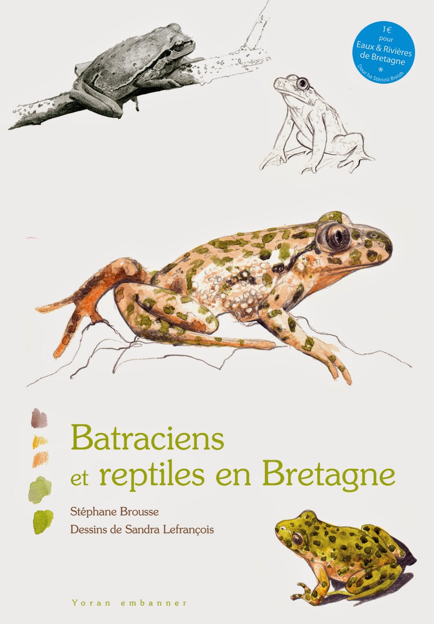 BATRACIENS ET REPTILES EN BRETAGNE
