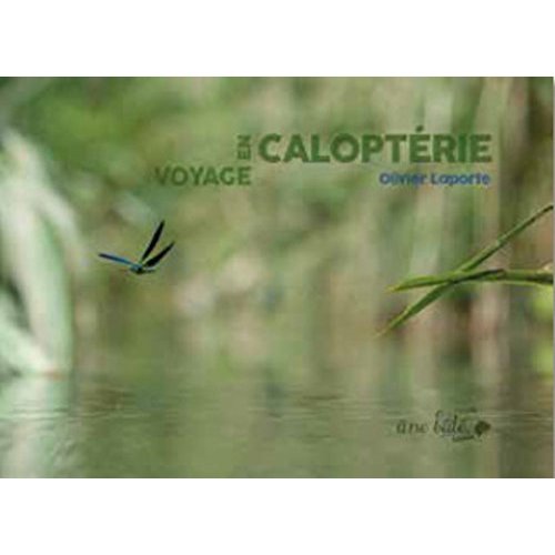 VOYAGE EN CALOPTERIE