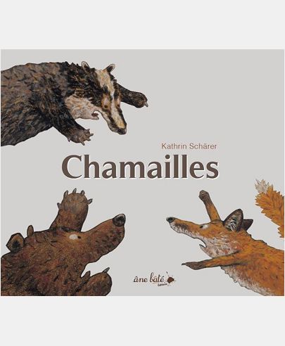CHAMAILLES - NE