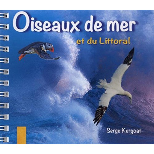 93 OISEAUX DE MER ET DU LITTORAL
