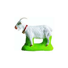 CHEVRE SANTON CARBONEL TAILLE NÂ°2