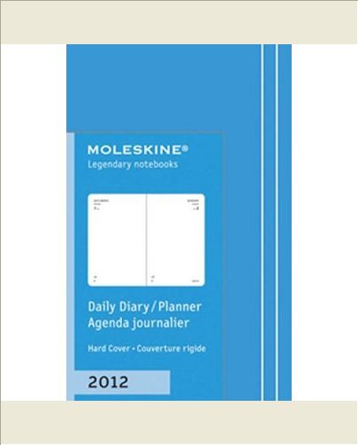 AGENDA JOURNALIER 2012 TR PT FORMAT COUV RIGIDE TURQUOISE