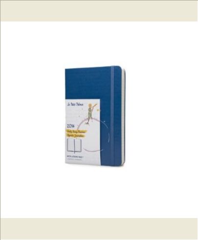 AGENDA 2014 PETIT PRINCE JOURNALIER BLEU GD FT