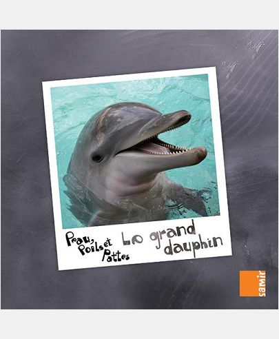 LE GRAND DAUPHIN