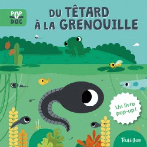 DU TETARD A LA GRENOUILLE - POP UP
