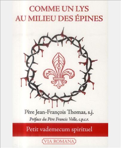 COMME UN LYS AU MILIEU DES EPINES